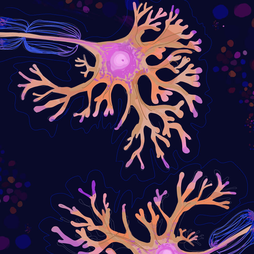 “Neural Networks” — View Information Here: https://drive.google.com/file/d/1xs2dHoGJEg-HS0lrZAzCVEw-k65BaFx-/view?usp=drivesdk